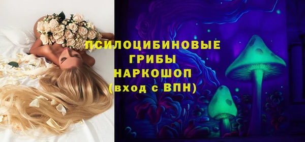 бошки Алексеевка